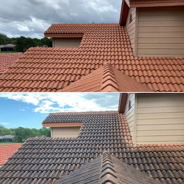 Roof cleaning before and after — tile roof algae removal