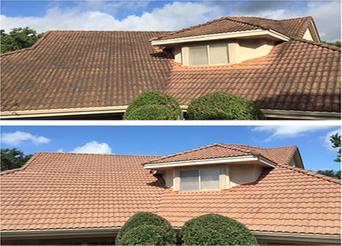 Tile Roof cleaning before and after — full home